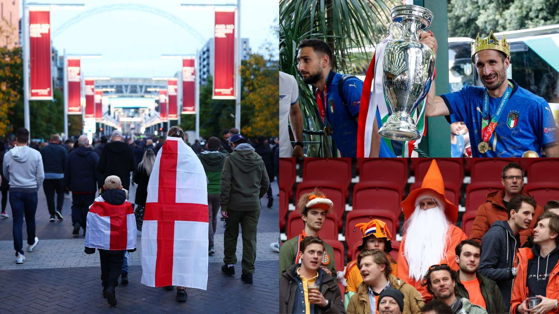 丰富多彩的 丰富多彩的