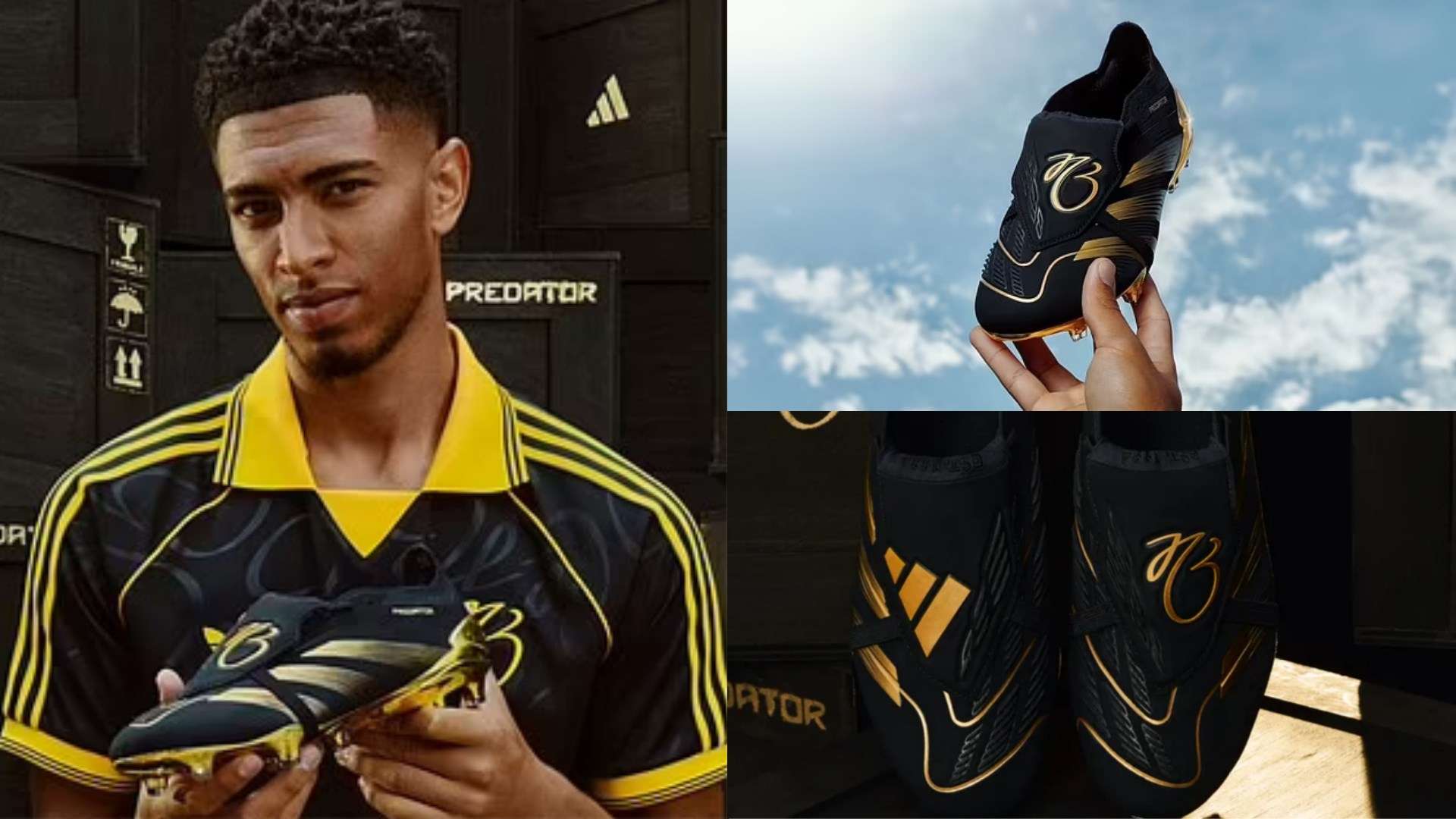 案例分析 案例分析